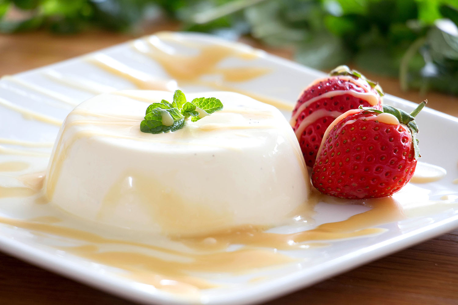 Vanilla panna cotta